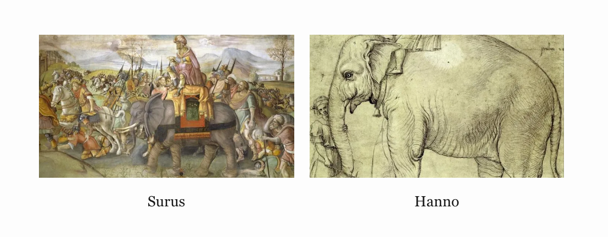An artistic rendition of Surus, Hannibal's last war elephant, is on the left. Underneath this picture is the caption 'Surus.' On the right is a line drawing of Hanno, a famous elephant. Underneath this picture is the caption 'Hanno.'