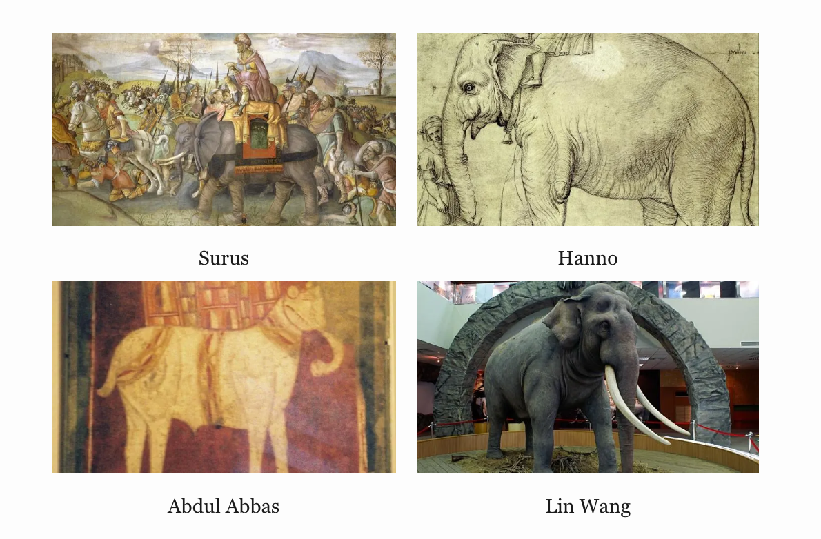 A 2x2 grid of pictures of elephants. There are labels underneath each of the pictures. Clockwise from the upper left, the labels say: Surus, Hanno, Lin Wang, and Abdul Abbas.