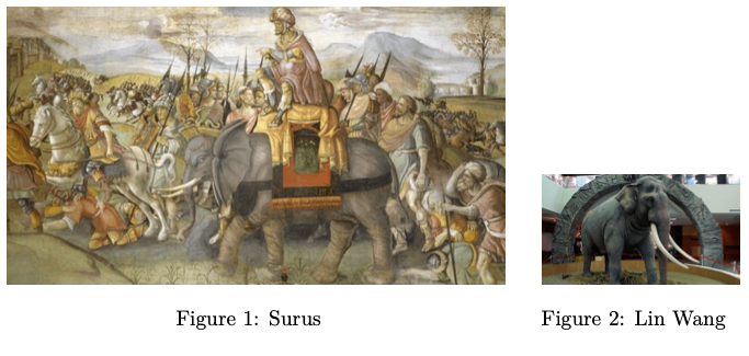 Two pictures of elephants side by side. The picture on the left has the label 'Figure 1: Surus' underneath it. The picture on the right has the label 'Figure 2: Lin Wang' underneath it. The figure on the left is more than twice the width and height of the figure on the right.